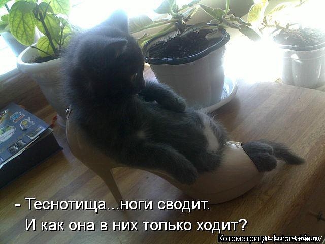 getImageв‹у (640x480, 146Kb)