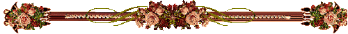 0_88965_34f6d5_L (500x50, 14Kb)