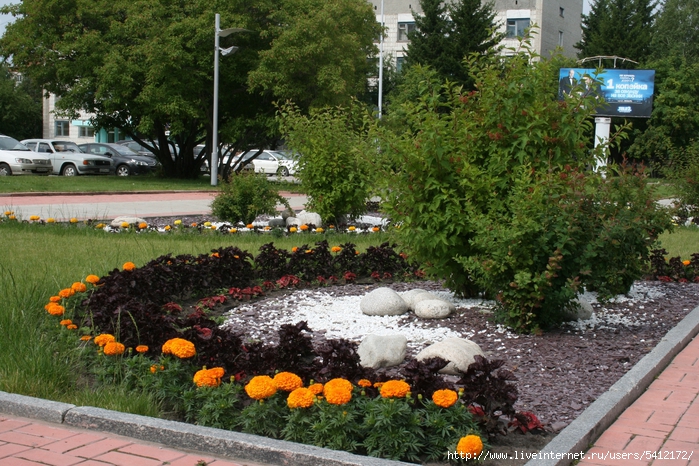 IMG_1650 (700x466, 381Kb)