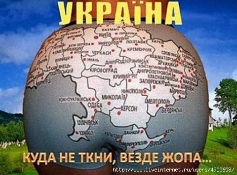 юмор - украина - куда ни ткни - везде жопа (480x355, 128Kb)