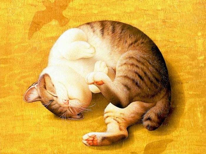 hkYWEtMzU (700x525, 276Kb)