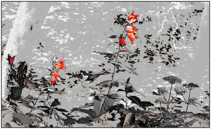 DF_XXIV (700x427, 139Kb)