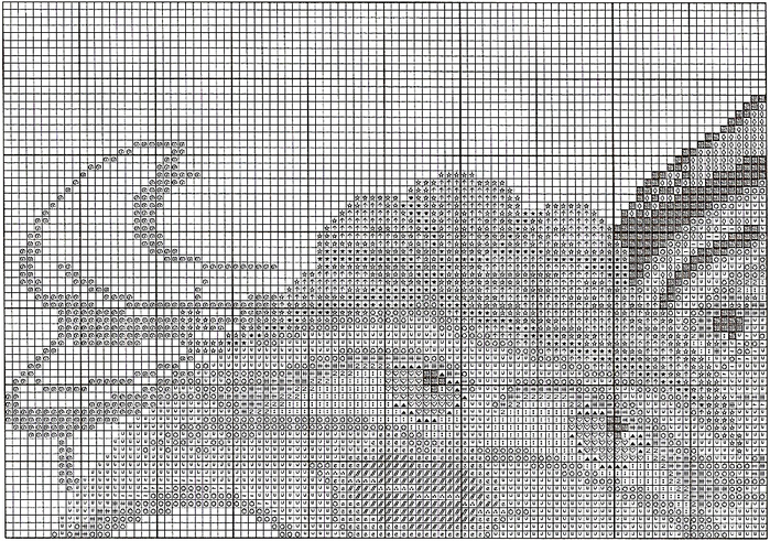 Stitchart-kolca1 (700x491, 467Kb)