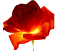 44153040_rose1 (200x183, 33Kb)