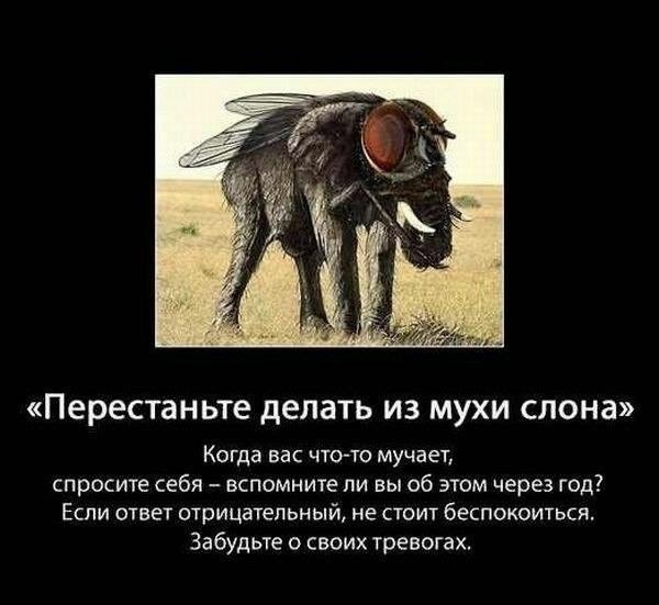 12118_462800820488756_220757270_n (600x551, 101Kb)