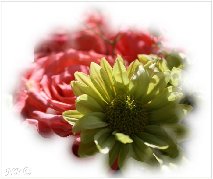 4954089_IMG_1610_hf (700x588, 203Kb)