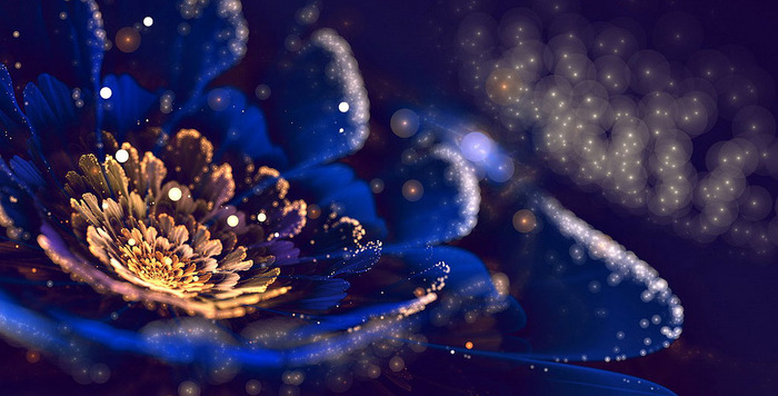 fractalr (700x356, 97Kb)