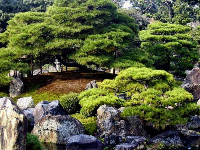 Природные зоны японии фото