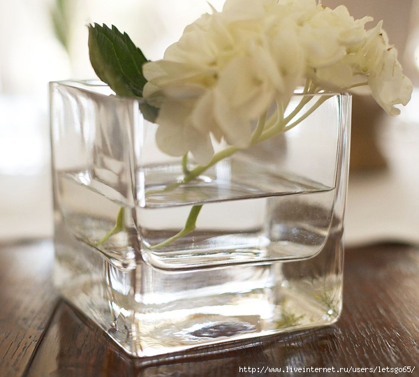 glass-vase-decor-ideas21 (600x540, 206Kb)