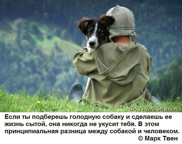 4733321_getImage (603x480, 69Kb)