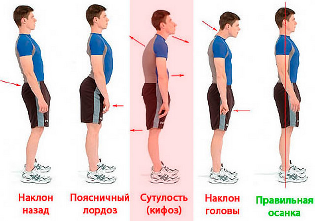 Фотография спины как называется