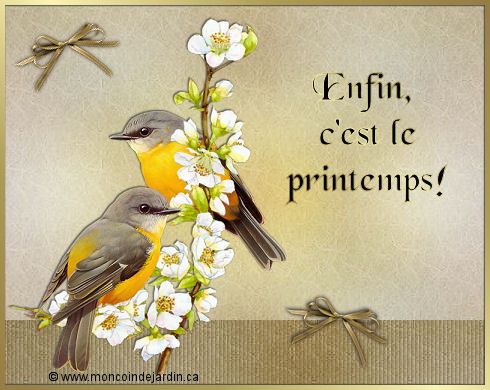 cartesaisonprintemps15_ (490x390, 43Kb)