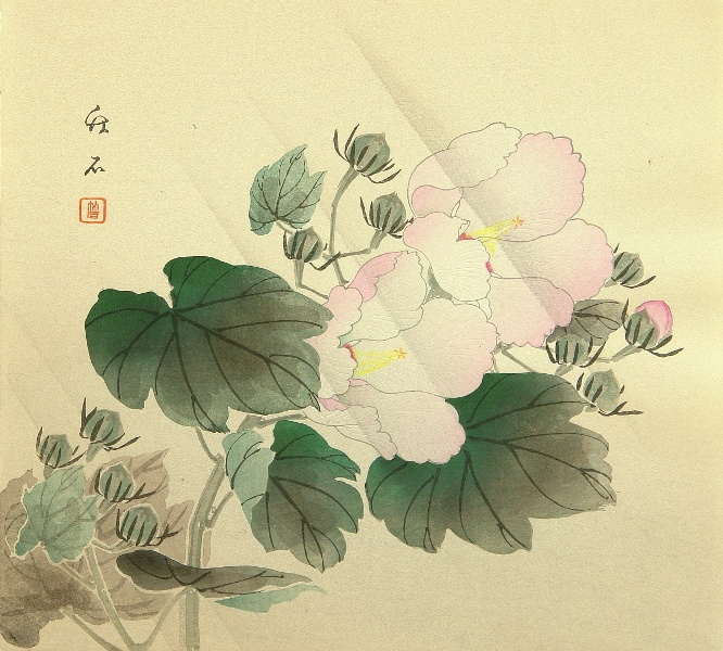 China Rose, 1900 (666x600, 196Kb)