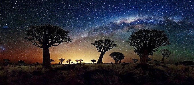 1391957446_quiver-tree-forest-namibia_680x300 (680x300, 85Kb)