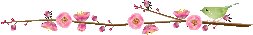 0_4ad2d_13ebcd04_XL.jpg (500x69, 26Kb)