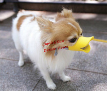 Free-Shipping-Pets-Product-Super-Funny-font-b-Duckbilled-b-font-font-b-Dog-b-font.jpg_220x220 (220x187, 18Kb)
