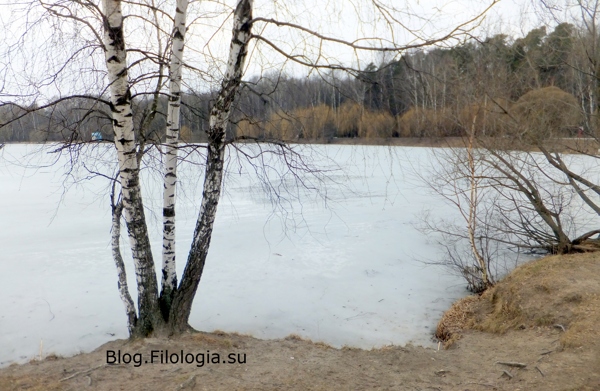 Белые березы на берегу озера в парке Покровское-Стрешнево на северо-западе Москвы/3241858_PS04 (600x391, 153Kb)
