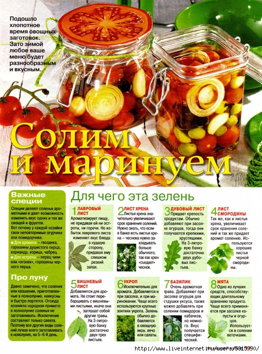 На нашей кухне академия кулинарии