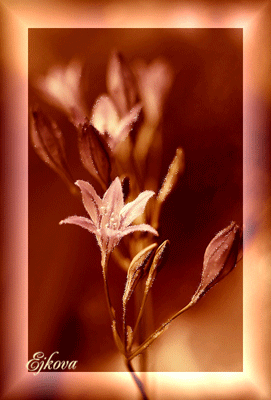 46098596_7598998lg (271x400, 164Kb)
