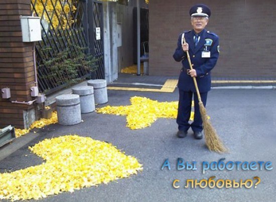 Авито сторож дворник работа. Требуется дворник. Дворник сторож фото. Дворник без лица.