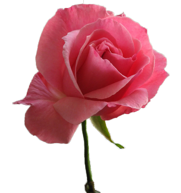 2 (624x663, 430Kb)