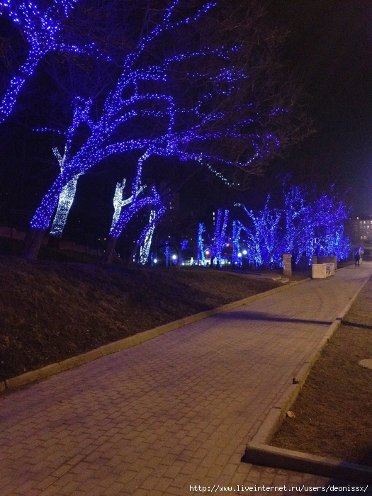 IMG_2150 (525x700, 325Kb)