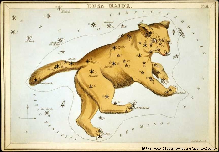 Ursa_Major (700x486, 223Kb)