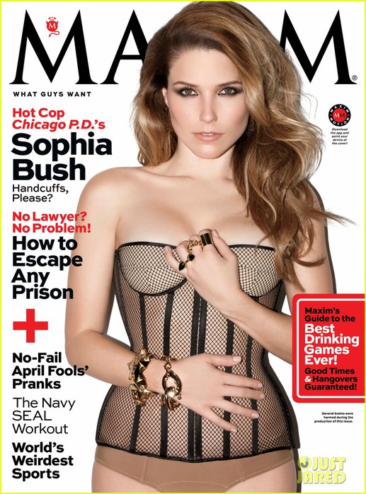 sophia-bush-exudes-sex-in-hot-lingerie-on-maxim-cover-01 (517x700, 127Kb)