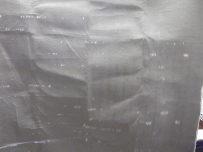 DSCF0633 (700x525, 222Kb)