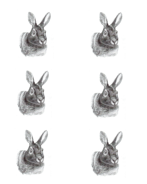 6-bunnies (506x633, 207Kb)