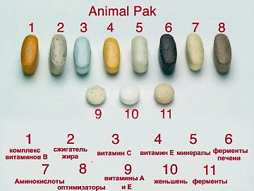 4603781_1359046371_animalpak_tabletki (360x271, 63Kb)