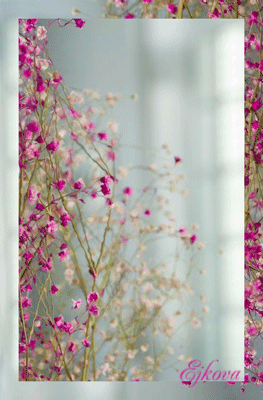 0_a13f5_9192bd07_XL (263x400, 242Kb)