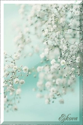0_a13f4_65f4181c_XL (267x400, 158Kb)