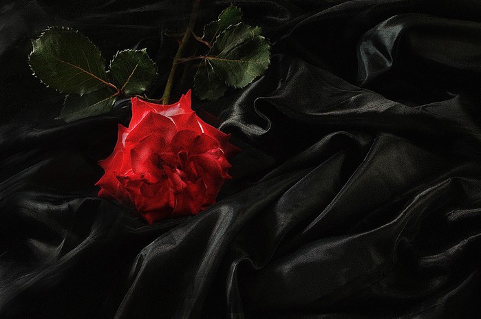 4617818_2715513_1 (700x464, 70Kb)