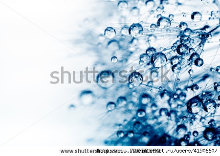 stock-photo-abstract-macro-photo-of-plant-seeds-with-water-drops-79050589 (450x320, 104Kb)