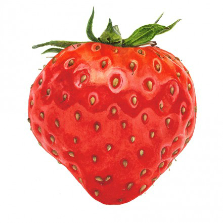 strawberry (441x441, 124Kb)