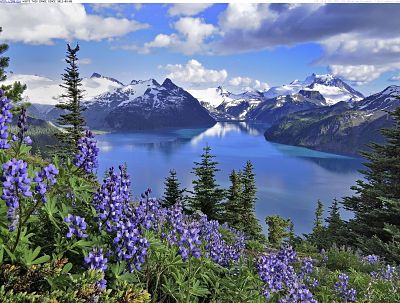 garibaldi-lake-garibaldi-provincial-park-british-columbia_opt (400x303, 40Kb)