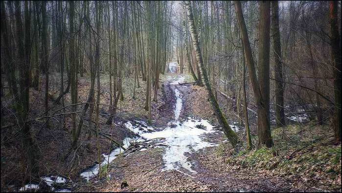   /3673959_2_1_ (700x395, 71Kb)