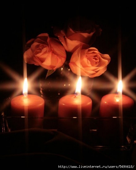 CANDLE-analove--romance--roznosci--Rose-King-of-the-Flower--Kwiaty--flowers--romantic_large (440x550, 73Kb)