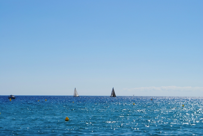DSC_0883 (700x468, 170Kb)