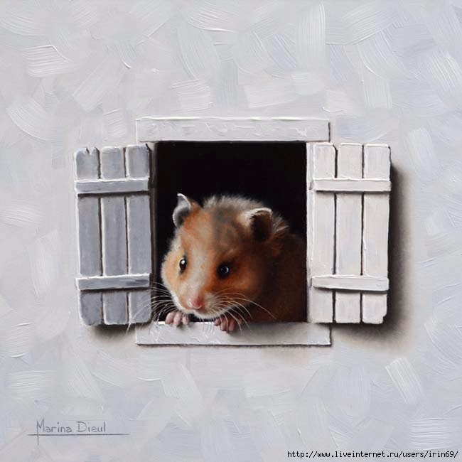 Marina-Dieul_Hamster+a+la+fenetre2_Oil_8x8_web (650x650, 129Kb)