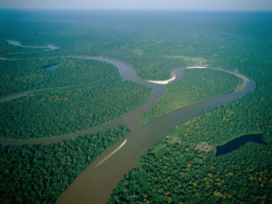 3352215_nachalnikov_net_amazon_river5_1_ (555x416, 68Kb)