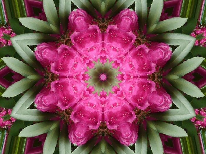 5 (700x525, 328Kb)