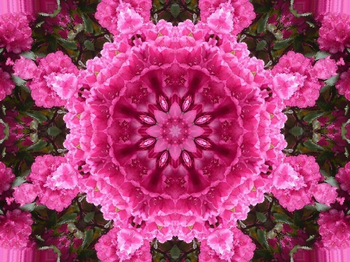 78 (700x525, 360Kb)