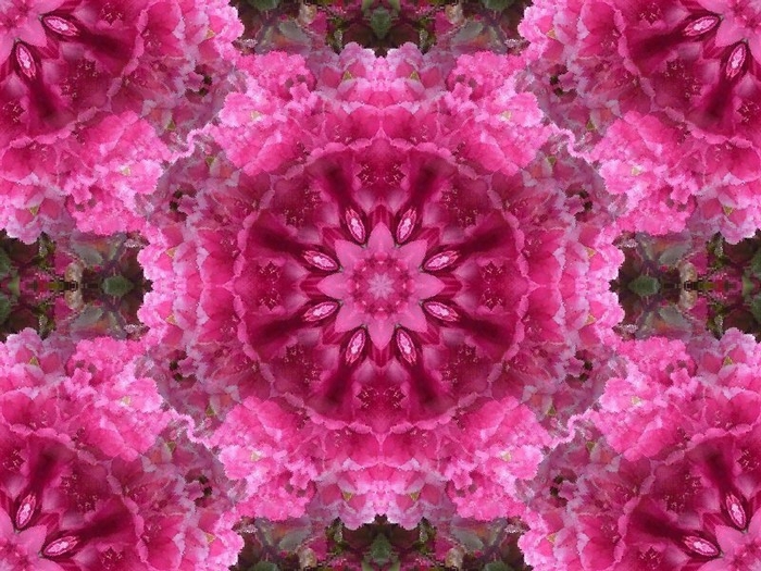 78 (700x525, 334Kb)