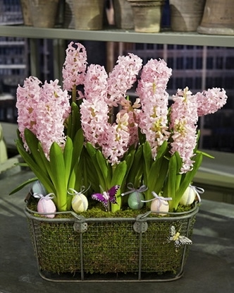 4138_040909_springarrangement_xl.1302175993 (332x415, 112Kb)