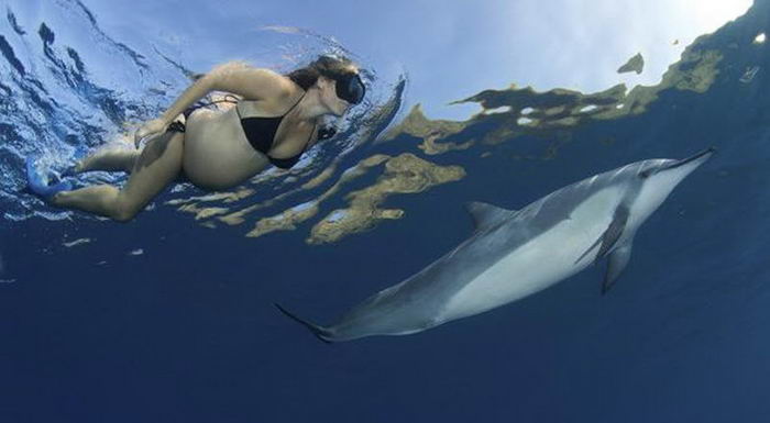 5402287_pregnant_and_dolphins_02 (700x385, 29Kb)