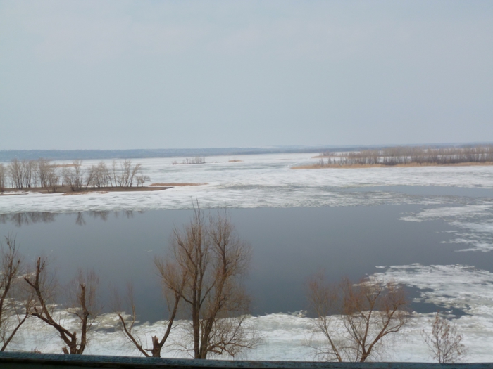 5577283_P1000052 (700x525, 196Kb)