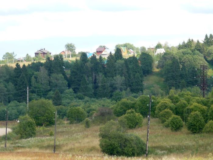 P1160049 (700x525, 58Kb)