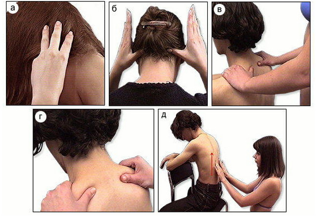 Как делать массаж спины девушке в домашних условиях фото